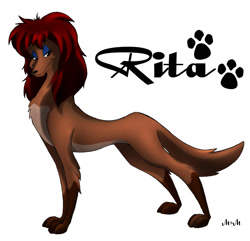Size: 2001x1928 | Tagged: safe, artist:inked-alpha, rita (oliver & company), canine, dog, mammal, saluki, feral, disney, oliver & company, 2010, 2d, deviantart watermark, female, looking at you, simple background, solo, solo female, watermark, white background