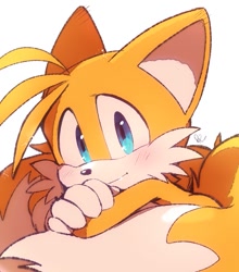 Size: 799x908 | Tagged: safe, artist:aogirinaru, miles "tails" prower (sonic), canine, fox, mammal, red fox, sega, sonic the hedgehog (series), 2021, black nose, blue eyes, blushing, fur, looking at you, male, orange body, orange fur, signature, simple background, solo, solo male, white background