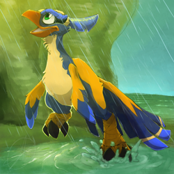 Size: 1000x1000 | Tagged: safe, artist:demonshadowscry, bird, jak and daxter, 2018, beak, feathers, flut flut (jak and daxter), happy, looking up, open mouth, rain, small wings, solo, splashing, tail, tail feathers, wings