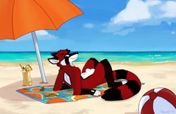 Size: 1280x828 | Tagged: suggestive, artist:ritzic, oc, oc only, oc:lance drake, canine, hybrid, mammal, procyonid, raccoon, wolf, anthro, 2022, alcohol, animal genitalia, ball, balls, beach, beach ball, black body, black fur, casual nudity, cocktail, cocktail garnish, cocktail glass, digital art, drink, ears, fur, looking at you, looking back, looking back at you, male, nude beach, nudity, ocean, outdoors, red body, red fur, sheath, solo, solo male, tail, towel, umbrella, water, white body, white fur