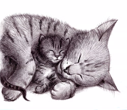 Size: 2636x2275 | Tagged: safe, artist:zdrer456, cat, feline, mammal, feral, ambiguous gender, ambiguous only, cuddling, duo, duo ambiguous, eyes closed, hug, kitten, monochrome, simple background, sleeping, white background, young