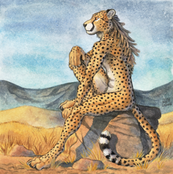 Size: 1188x1200 | Tagged: safe, artist:0laffson, cheetah, feline, mammal, anthro, amber eyes, ears, fur, male, nudity, outdoors, paws, sitting, solo, solo male, spotted fur, tail, tan body, tan fur, traditional art