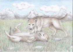 Size: 1280x910 | Tagged: safe, artist:riokh, canine, mammal, wolf, feral, lifelike feral, ambiguous gender, ambiguous only, cub, cute, duo, duo ambiguous, non-sapient, playful, realistic, traditional art, young