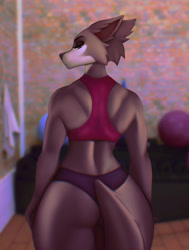 Size: 969x1280 | Tagged: safe, artist:aozee, juno (beastars), canine, mammal, wolf, anthro, beastars, 2022, bedroom eyes, black nose, bottomwear, cheek fluff, clothes, detailed background, digital art, ears, eyelashes, female, fluff, fur, looking at you, looking back, looking back at you, muscles, muscular female, pose, rear view, shorts, solo, solo female, sports bra, sports shorts, tail, topwear