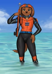 Size: 1441x2048 | Tagged: suggestive, artist:diacordst, zuma (paw patrol), canine, dog, labrador, mammal, anthro, nickelodeon, paw patrol, 2022, beach, bedroom eyes, black nose, clothes, cloud, collar, crotch bulge, detailed background, digital art, ears, fur, hand on thigh, headwear, helmet, lifeboard, looking at you, male, ocean, older, pose, sky, solo, solo male, suit, tail, thighs, water
