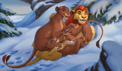 Size: 1280x748 | Tagged: safe, alternate version, artist:lynxgirl, kion (the lion guard), nirmala (the lion guard), rani (the lion guard), big cat, feline, lion, mammal, feral, disney, the lion guard, the lion king, 2021, brown body, brown fur, cream body, cream fur, cuddling, eye scar, fangs, featureless crotch, female, feral/feral, flower, flower on head, fur, group, hair, hug, leonine tail, lioness, lying down, male, male/female, mane, older, on back, open mouth, open smile, orange hair, outdoors, paw on butt, paw pads, paw prints, paws, scar, sharp teeth, shipping, smiling, snow, tail, teeth, trio, underpaw, whiskers, yellow body, yellow fur