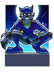 Size: 1548x2064 | Tagged: safe, artist:jdncdavid03, sly cooper (sly cooper), mammal, procyonid, raccoon, anthro, sly cooper (series), male, solo, solo male