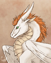 Size: 1051x1280 | Tagged: safe, artist:tir-goldeness, oc, oc only, dragon, fictional species, feral, bust, smiling, solo