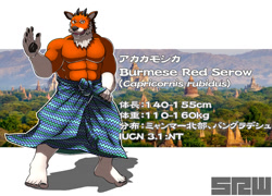 Size: 1280x923 | Tagged: safe, artist:ccccc20062003, bovid, mammal, anthro, plantigrade anthro, burma, looking at you, male, myanmar, serow, solo, solo male