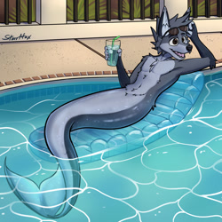Size: 1280x1278 | Tagged: safe, artist:starrffax, oc, oc only, oc:starrffax, canine, fictional species, fish, fox, hybrid, mammal, anthro, 2022, drink, drinking straw, ear fluff, fins, fish tail, floatie, fluff, fur, fursona, glasses, glasses off, gray body, gray fur, hair, ice, ice cube, male, open mouth, outdoors, pool, sharp teeth, signature, solo, solo male, summer, sunglasses, tail, teeth