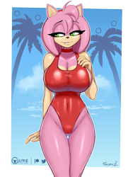 Size: 900x1200 | Tagged: suggestive, artist:tailsrulz, amy rose (sonic), hedgehog, mammal, anthro, sega, sonic the hedgehog (series), 2022, clothes, female, one-piece swimsuit, red swimsuit, solo, solo female, swimsuit