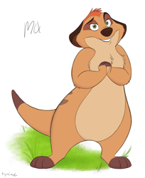 Size: 3300x4050 | Tagged: safe, artist:tymime, timon's ma (the lion king), mammal, meerkat, mongoose, feral, disney, the lion king, 2d, female, grass, looking at you, simple background, solo, solo female, white background