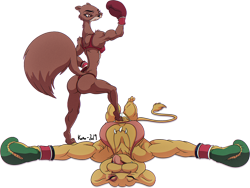 Size: 1200x900 | Tagged: suggestive, artist:koro, big cat, feline, lion, mammal, marten, mustelid, sable, anthro, animalympics, boxing, boxing gloves, bra, breasts, butt, cleavage, clothes, duo, female, fighting, flexing, fur, gloves, kit mambo (animalympics), knocked out, knockout, lioness, muscles, nipple outline, panties, sexy, simple background, sleeping, sports bra, tail, tatyana tushenko (animalympics), thong, tongue, topwear, transparent background, underwear