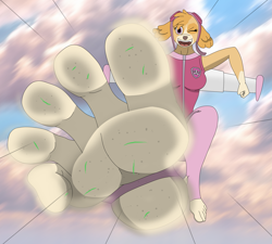 Size: 3999x3600 | Tagged: safe, artist:raidenthedeoxys, skye (paw patrol), canine, cockapoo, dog, mammal, anthro, plantigrade anthro, nickelodeon, paw patrol, barefoot, dirty feet, feet, female, fetish, foot fetish, foot focus, human feet, soles, solo, solo female, stirrup pants, toes