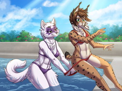 Size: 1440x1080 | Tagged: safe, artist:heresyart, alopex (tmnt), arctic fox, canine, feline, fox, lynx, mammal, anthro, teenage mutant ninja turtles, 2021, arm fluff, bikini, black nose, breasts, clothes, duo, duo female, ear fluff, eyebrows, eyelashes, female, females only, fluff, fur, hair, multicolored fur, open mouth, purple bikini, purple swimsuit, red bikini, red swimsuit, shoulder fluff, spots, spotted fur, swimming pool, swimsuit, tail, tail fluff, thighs, tongue, vixen