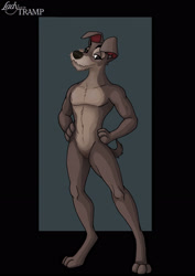 Size: 2061x2911 | Tagged: safe, artist:nightwing1975, tramp (lady and the tramp), canine, dog, mammal, anthro, disney, lady and the tramp, 2011, 2d, anthrofied, male, schnauzer, solo, solo male