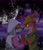 Size: 2274x2638 | Tagged: safe, artist:iheartart132, maid marian (robin hood), robin hood (robin hood), canine, fox, mammal, red fox, disney, robin hood (disney), duo, eyes closed, female, full moon, holding, holding hands, male, male/female, moon, night, night sky, sky, stars, vixen
