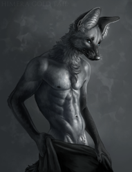 Size: 976x1280 | Tagged: suggestive, artist:himeragoldtail, canine, mammal, anthro, animal genitalia, belly button, blue eyes, detailed, digital art, digital painting, fluff, grayscale, limited palette, male, monochrome, neck fluff, nudity, piercing, sheath, sheath piercing, sheathed, solo, solo male, story at source, towel, whiskers