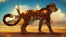 Size: 1280x720 | Tagged: safe, artist:anchee, oc, oc only, oc:keta (vultu2e), cheetah, feline, mammal, feral, balls, blurred background, brown body, brown fur, claws, collar, cream body, cream fur, fur, hair, looking at you, male, nudity, outdoors, paws, side view, solo, solo male, spotted fur, standing, tail, whiskers, yellow body, yellow fur