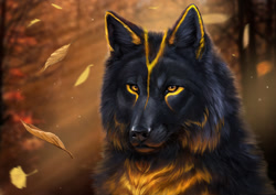Size: 1252x887 | Tagged: safe, artist:muns11, canine, mammal, wolf, feral, autumn, black body, black fur, blurred background, bust, detailed, digital art, digital painting, fur, leaf, male, portrait, realistic, solo, solo male, three-quarter view, whiskers, yellow body, yellow eyes, yellow fur