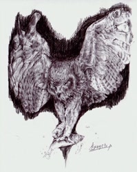 Size: 509x640 | Tagged: safe, artist:geppei5959, bird, bird of prey, fish, owl, feral, 2008, ambiguous gender, beak, claws, duo, feathers, hunting, predator, prey, realistic, talons, traditional art, wings