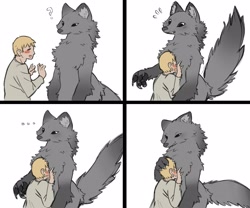 Size: 2685x2236 | Tagged: safe, artist:tateoftot, canine, fictional species, human, mammal, werewolf, anthro, 2022, 2d, blonde hair, blushing, chest fluff, clothes, comic, digital art, ears, featured image, female, fluff, fur, gray body, gray fur, hair, human/anthro, interspecies, male, neck fluff, simple background, size difference, snuggling, tail, white background