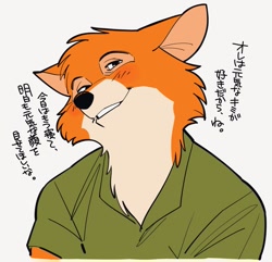 Size: 1089x1049 | Tagged: safe, artist:uochandayo, robin hood (robin hood), canine, fox, mammal, red fox, anthro, disney, robin hood (disney), 2d, japanese text, male, simple background, solo, solo male, translation request, white background