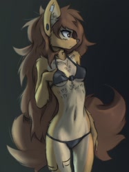 Size: 1238x1652 | Tagged: safe, artist:tinygaypirate, oc, oc:apogee (tinygaypirate), canine, dog, mammal, anthro, belly button, body markings, bra, brown body, brown eyes, brown fur, brown hair, clothes, ear piercing, female, fluff, fur, hair, looking to the side, multicolored fur, panties, piercing, shoulder fluff, solo, solo female, thinking, thong, two toned body, two toned fur, underwear