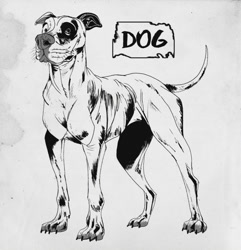 Size: 1280x1330 | Tagged: safe, artist:wreckham, canine, dog, mammal, pit bull, feral, 2022, 2d, ambiguous gender, monochrome, simple background, solo, solo ambiguous, white background