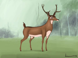 Size: 1032x774 | Tagged: safe, artist:louisetheanimator, bambi (bambi), cervid, deer, mammal, feral, bambi (film), disney, 2d, male, on model, solo, solo male, ungulate