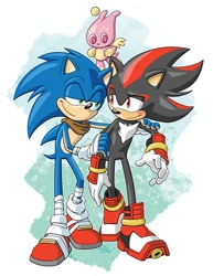 Size: 695x900 | Tagged: safe, artist:tracy yardley, shadow the hedgehog (sonic), sonic the hedgehog (sonic), chao, fictional species, hedgehog, mammal, anthro, sega, sonic boom (series), sonic the hedgehog (series), bandage, black body, black fur, blue body, blue fur, blushing, chest fluff, clothes, fingerless gloves, fluff, fur, gloves, green eyes, looking at each other, male, male/male, quills, red eyes, shipping, smiling, sneakers, sonadow (sonic)
