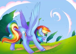 Size: 4096x2896 | Tagged: safe, artist:artharuhi, rainbow dash (mlp), equine, fictional species, mammal, pegasus, pony, feral, friendship is magic, hasbro, my little pony, 2022, action pose, butt, cloud, cutie mark, female, hooves, mare, multicolored mane, multicolored tail, sky, smiling, solo, solo female, tail, unshorn fetlocks, wings