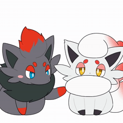 Size: 720x720 | Tagged: safe, artist:tontaro, fictional species, hisuian zorua, zorua, feral, nintendo, pokémon, 1:1, 2021, 2d, 2d animation, ambiguous gender, ambiguous only, animated, black nose, digital art, duo, duo ambiguous, ears, fur, hair, no mouth, no sound, paws, pulling, simple background, sitting, tail, teasing, webm, white background