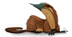Size: 800x415 | Tagged: safe, artist:cryptid-creations, mammal, monotreme, platypus, feral, 2d, ambiguous gender, simple background, solo, solo ambiguous, white background