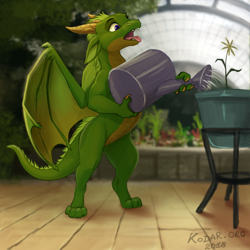 Size: 800x800 | Tagged: safe, artist:kodardragon, dragon, fictional species, western dragon, feral, ambiguous gender, flower pot, open mouth, plant, solo, solo ambiguous, watering can