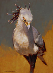 Size: 1200x1654 | Tagged: safe, artist:kenfairclough, bird, bird of prey, secretary bird, feral, ambiguous gender, beak, feathers, realistic, wings