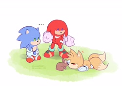Size: 2300x1700 | Tagged: safe, artist:lucia88956289, knuckles the echidna (sonic), miles "tails" prower (sonic), sonic the hedgehog (sonic), canine, echidna, fox, hedgehog, lagomorph, mammal, monotreme, rabbit, anthro, feral, sega, sonic the hedgehog (series), sonic the hedgehog movie, chibi, clothes, gloves, group, male, males only, shoes, trio, trio male
