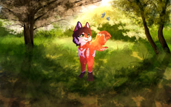 Size: 1280x800 | Tagged: safe, artist:elisawind, oc, oc:poppy (lavallett1), arthropod, butterfly, canine, fox, insect, mammal, wolf, feral, commission, cute, dipstick tail, fluff, forest, happy, playful, smiling, tail, ych, ych result