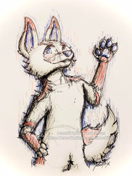 Size: 3024x4032 | Tagged: safe, artist:deleetrix, canine, jackal, mammal, anthro, female, paw pads, paws, sketch, traditional art