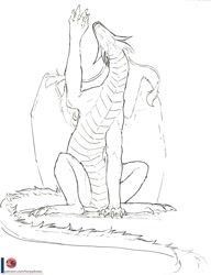 Size: 768x1000 | Tagged: safe, artist:herpydragon, oc, oc only, dragon, fictional species, feral, ambiguous gender, fantasy, long tail, solo, tail