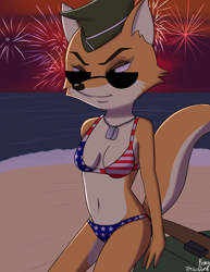 Size: 2550x3300 | Tagged: safe, artist:psychonundrum, lt. fox vixen (squirrel and hedgehog), canine, fox, mammal, anthro, squirrel and hedgehog, 2021, american flag bikini, beach, belly button, bikini, black nose, breasts, clothes, digital art, ears, eyelashes, female, fireworks, flag bikini, fur, glasses, hat, headwear, pose, solo, solo female, swimsuit, tail, thighs, united states of america, vixen, wide hips