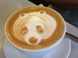 Size: 960x720 | Tagged: artist needed, safe, bear, mammal, panda, ambiguous gender, coffee, coffee mug, drink, irl, photo