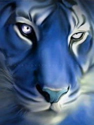 Size: 240x320 | Tagged: artist needed, safe, big cat, feline, mammal, tiger, feral, ambiguous gender, low res, maltese tiger, solo