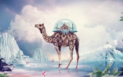 Size: 1280x800 | Tagged: artist needed, safe, bird, camel, dromedary, mammal, monkey, primate, feral, 8:5, ambiguous gender, camelid, group, solo, solo ambiguous, taj mahal