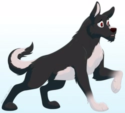 Size: 3942x3557 | Tagged: safe, artist:salmon_saucy, oc, oc only, canine, dog, mammal, wolf, feral, ambiguous gender, black body, black fur, fantasy, fur, red eyes, solo, white body, white fur
