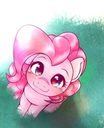 Size: 836x1024 | Tagged: safe, artist:kurogewapony, pinkie pie (mlp), earth pony, equine, fictional species, mammal, pony, feral, friendship is magic, hasbro, my little pony, 2022, abstract background, cute, female, grass, hair, high angle, looking at you, looking up, looking up at you, mane, mare, pink body, pink hair, pink mane, pink tail, simple background, sitting, solo, solo female, tail, white background