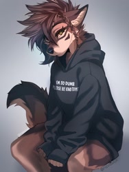 Size: 1536x2048 | Tagged: safe, artist:novaloux, canine, mammal, wolf, anthro, clothes, female, hoodie, sitting, solo, solo female, tail, topwear