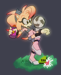 Size: 854x1046 | Tagged: safe, artist:thesheeark, hedgehog, mammal, anthro, sega, sonic the hedgehog (series), commission, female, soccer, solo, solo female
