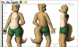 Size: 2466x1500 | Tagged: safe, artist:pingthehungryfox, oc, oc only, oc:nip, canine, coyote, mammal, anthro, 2018, male, reference sheet, solo, solo male