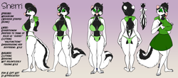 Size: 13000x5731 | Tagged: safe, artist:arrjaysketch, oc, oc only, oc:sherri, mammal, skunk, anthro, plantigrade anthro, black body, black fur, black hair, clothes, dress, ears, female, fur, green eyes, hair, looking at you, negaskunk, paws, reference sheet, simple background, solo, solo female, standing, tail, white body, white fur